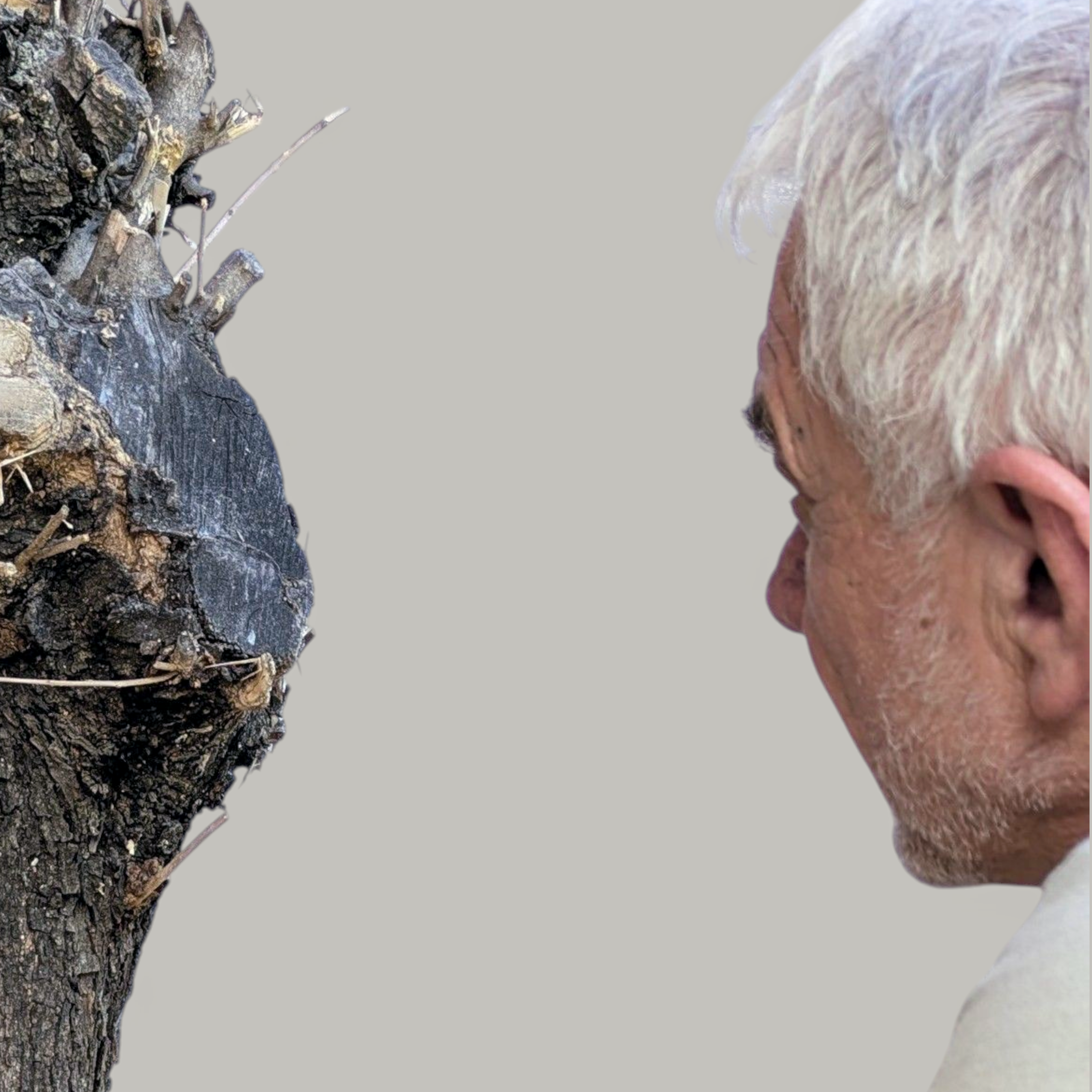 Luis González Palacios, escultor. Castellón.