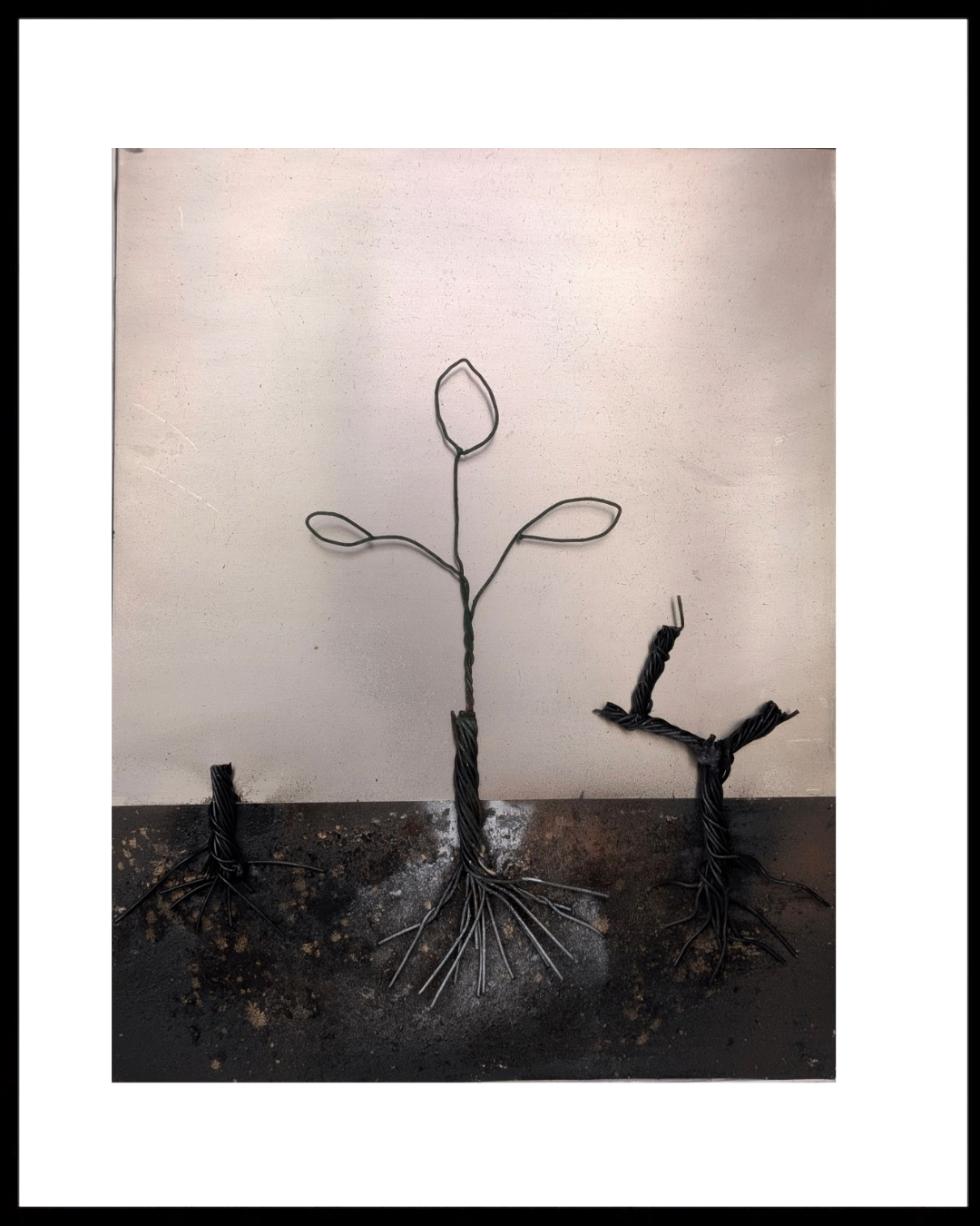 Brotes — Luis González Palacios. 33×43 cm, 2025.