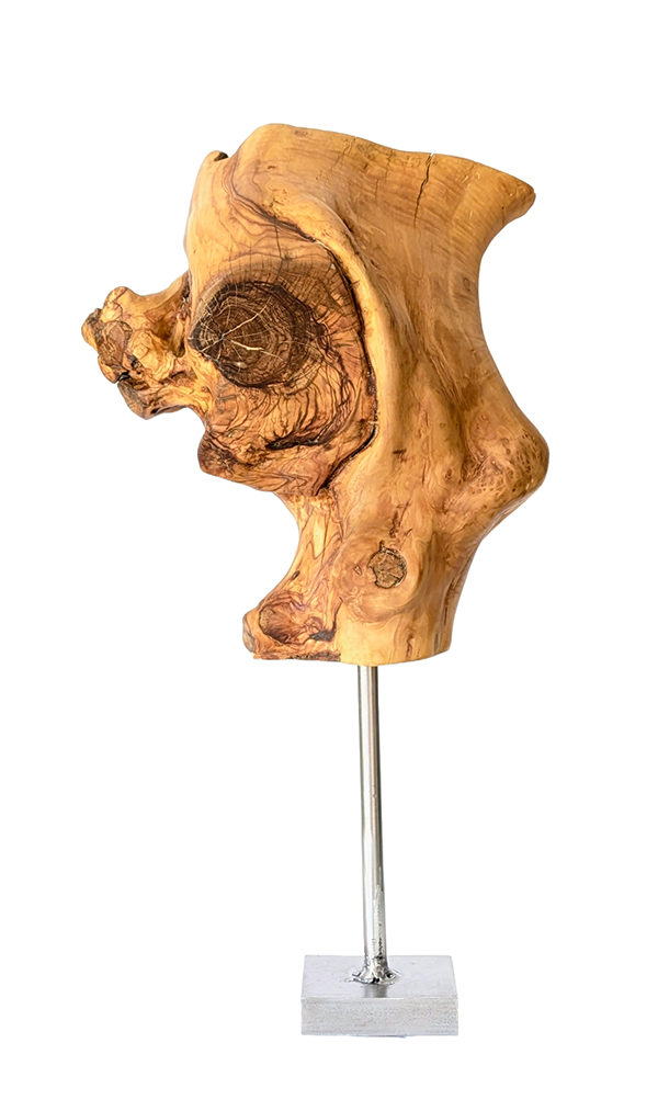 Tierra 1 — Luis González Palacios. 42 × 25 cm · 2024