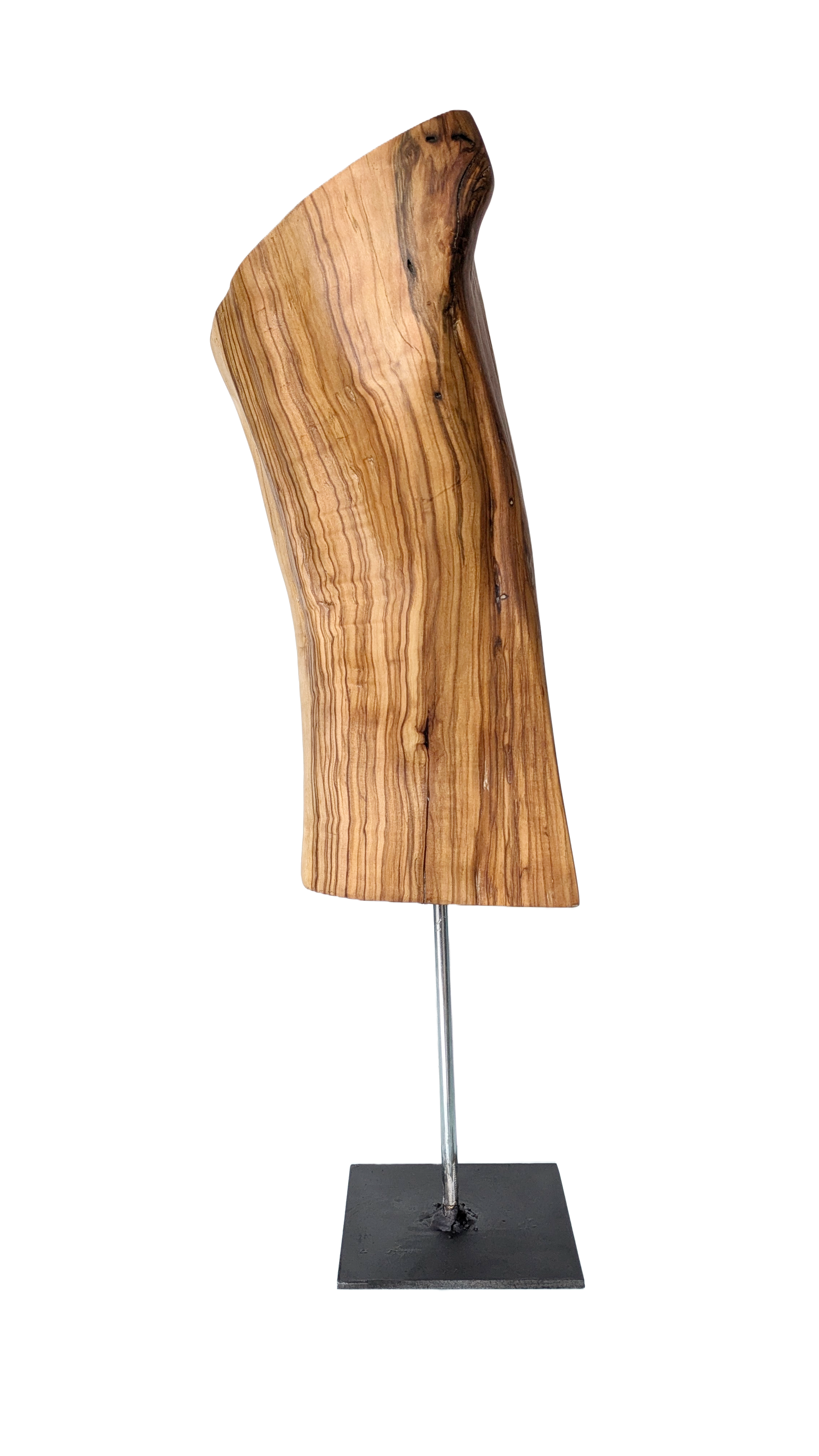 Tierra 11 — Luis González Palacios. 36 × 16 cm · 2024