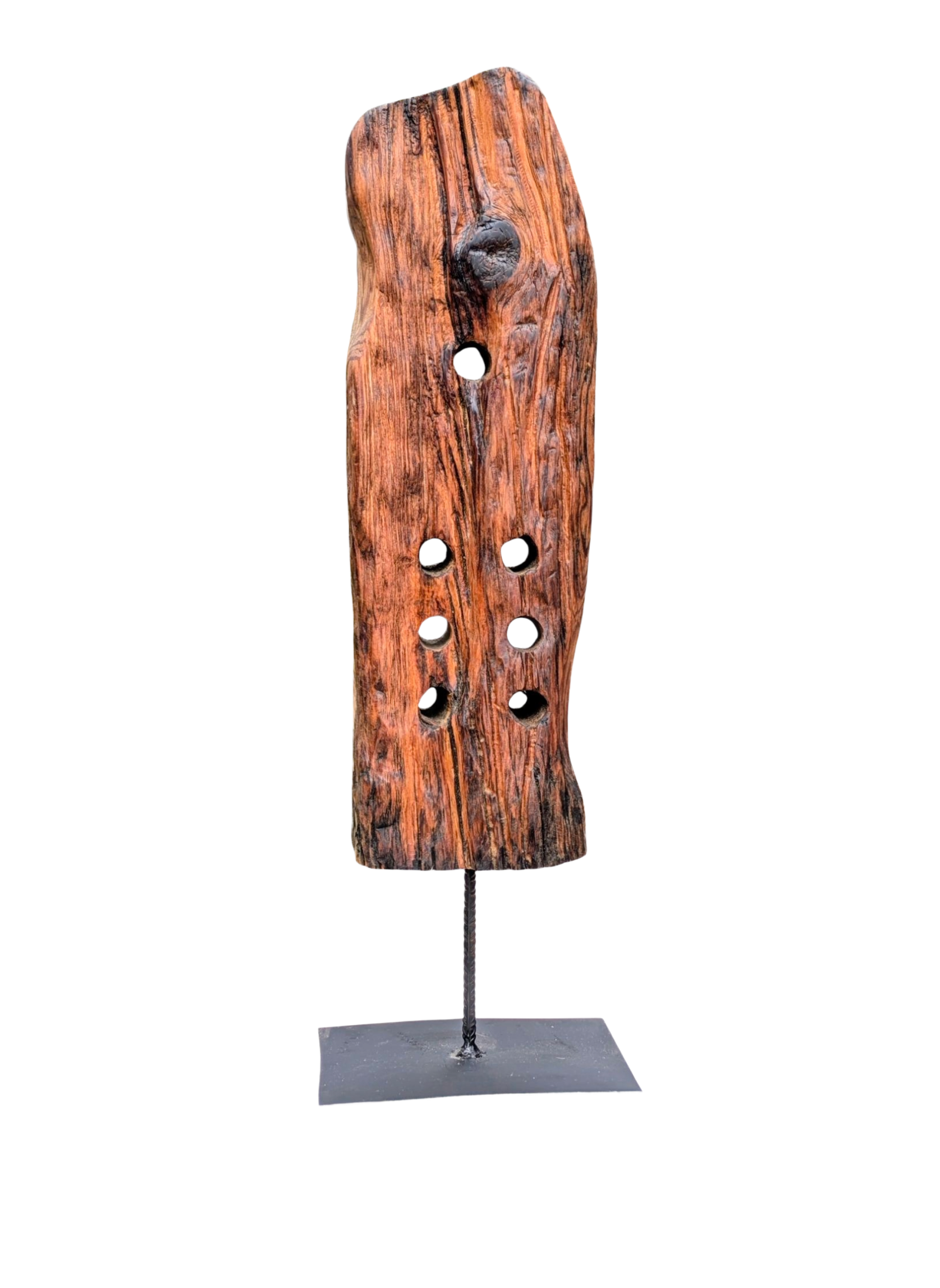 Tierra 13 — Luis González Palacios. 71 × 22 cm · 2024