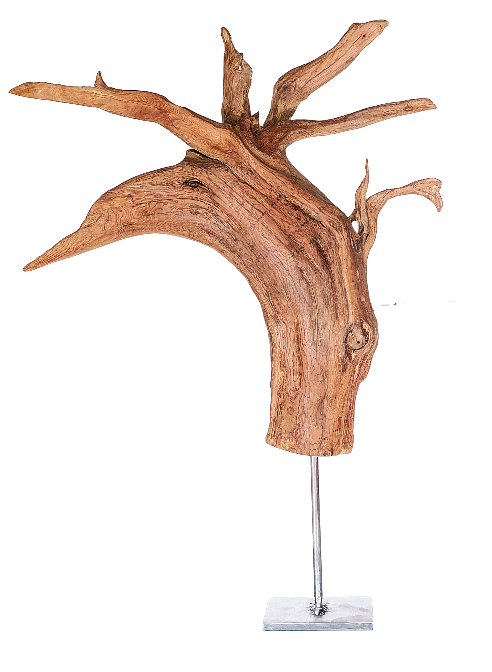 Tierra 16 — Luis González Palacios. 2024