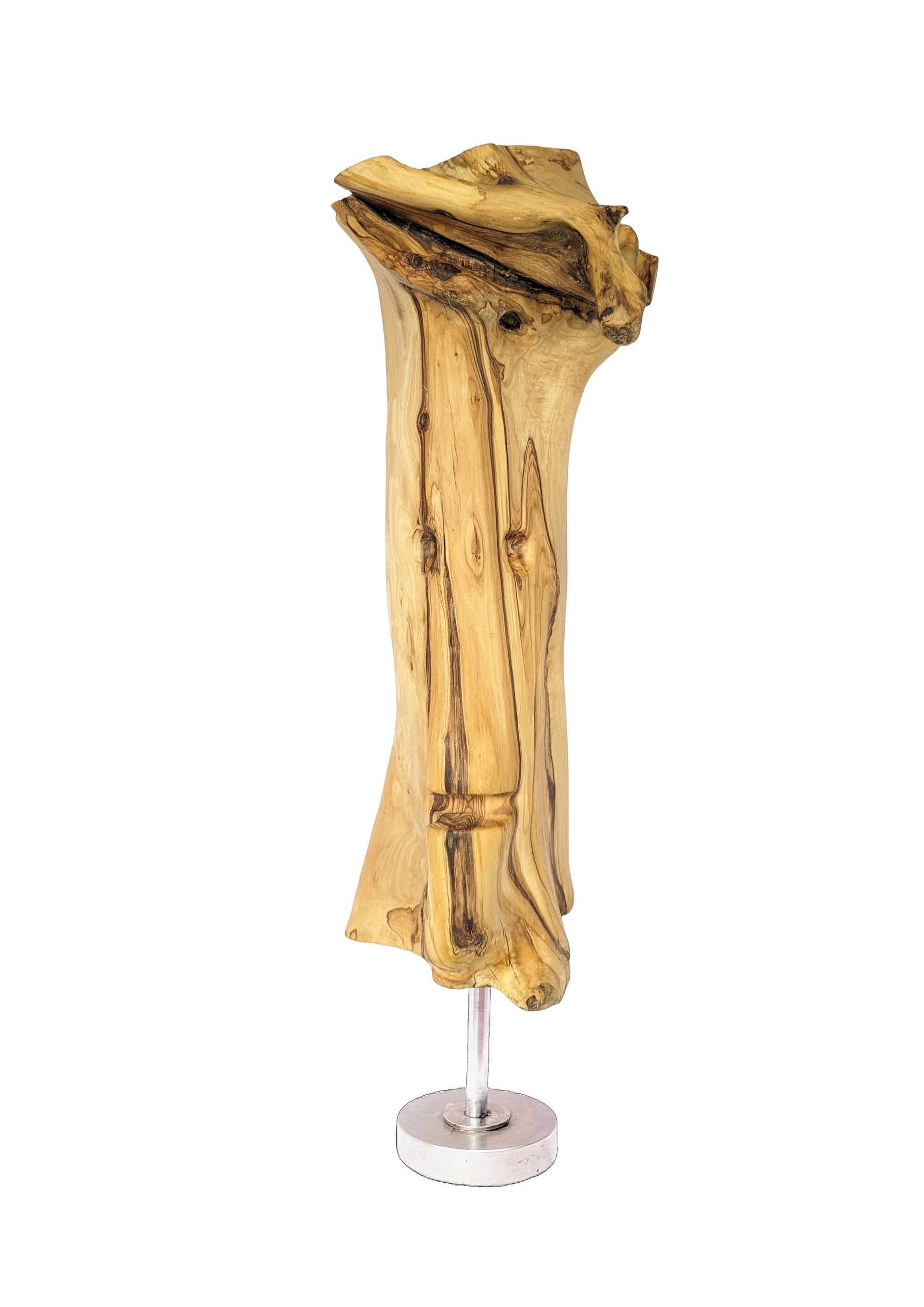 Tierra 18 — Luis González Palacios. 50 × 16 cm · 2024