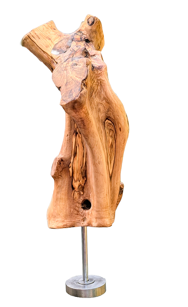 Tierra 2 — Luis González Palacios. 58×20 cm, 2024.