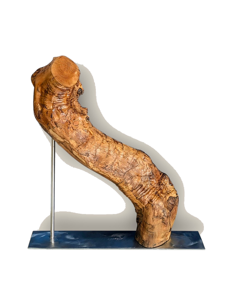 Tierra 25 — Luis González Palacios. 35×40×15 cm, 2025.