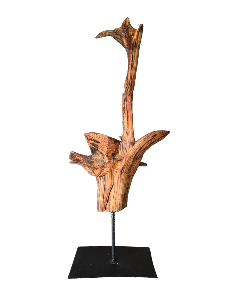 Tierra 27 — Luis González Palacios. 83×37 cm, 2025.