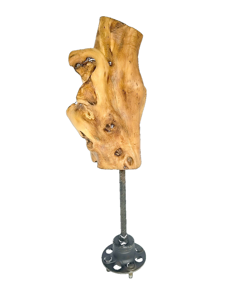 Tierra 29 — Luis González Palacios. 72×25×15 cm, 2026.