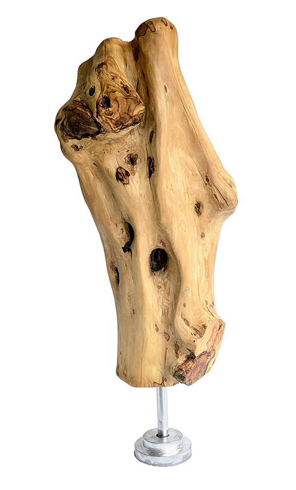 Tierra 4 — Luis González Palacios. 62×27 cm, 2024.