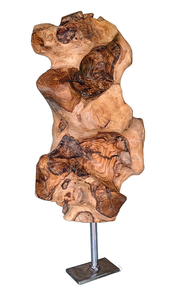 Tierra 5 — Luis González Palacios. 44 × 19 cm · 2024