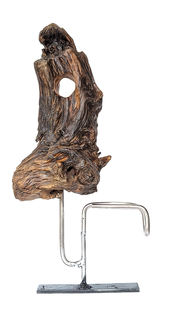 Tierra 6 — Luis González Palacios. 43 × 23 cm · 2024