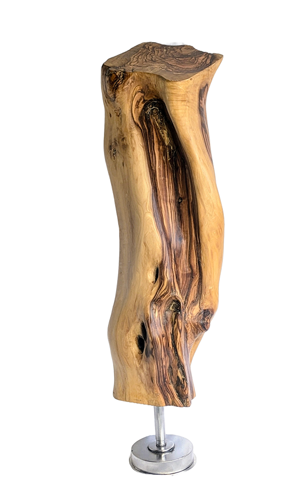 Tierra 7 — Luis González Palacios. 59 × 16 cm · 2024