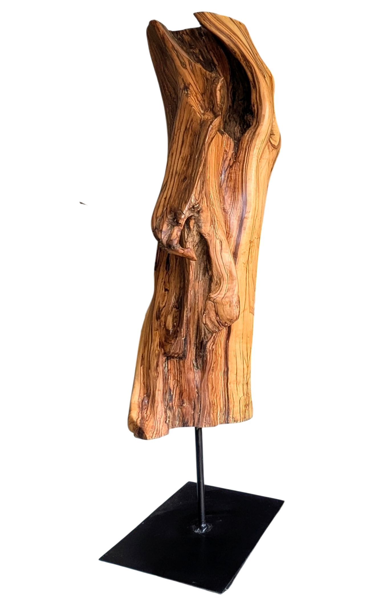 Tierra 8 — Luis González Palacios. 83 × 31 cm · 2024