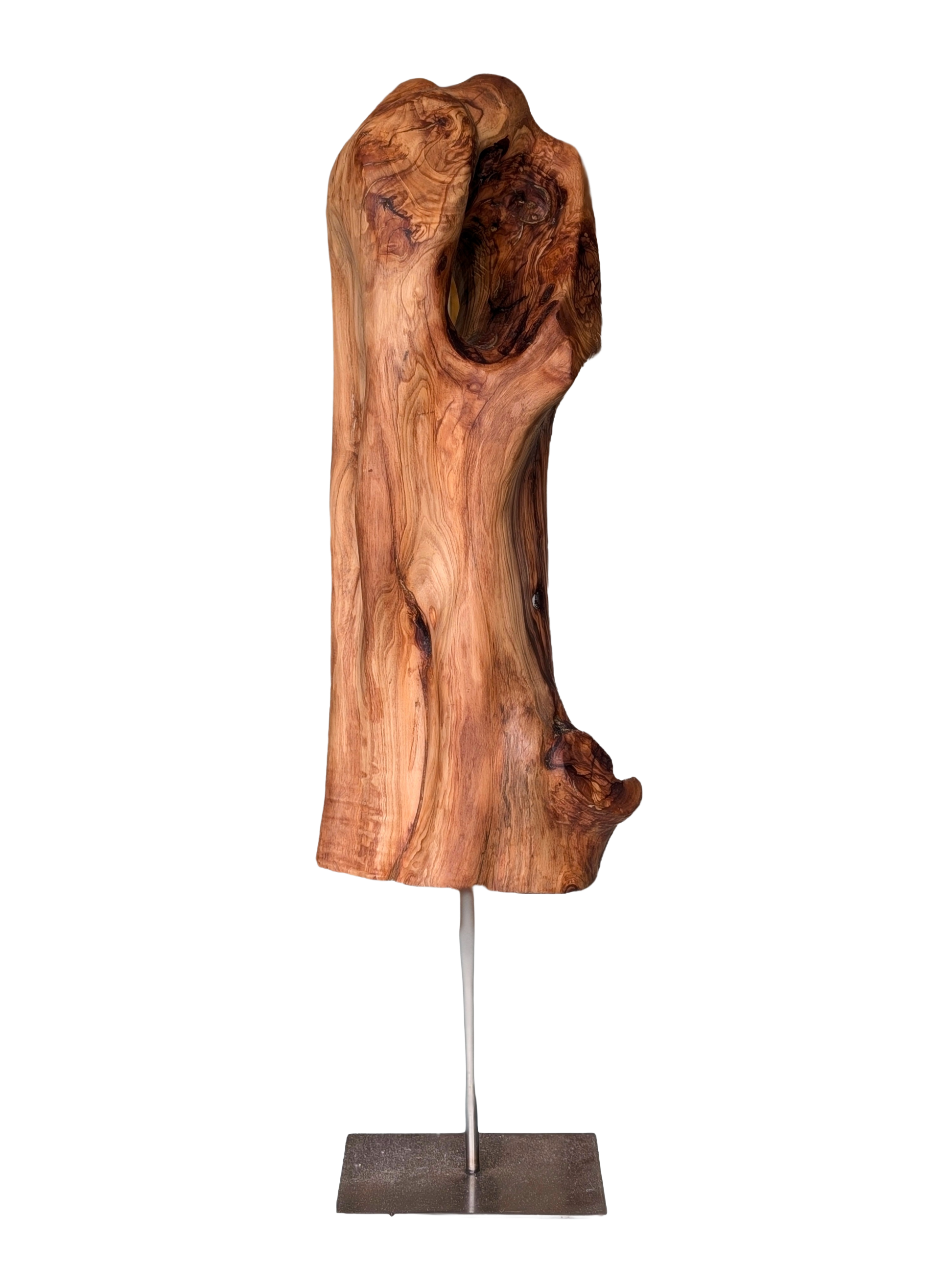 Tierra 9 — Luis González Palacios. 57 × 18 cm · 2024